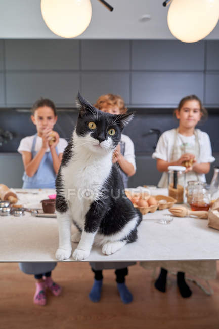 Ragazzo scioccato e ragazze in grembiuli guardando il gatto seduto sul tavolo con ingredienti in cucina moderna — Foto stock