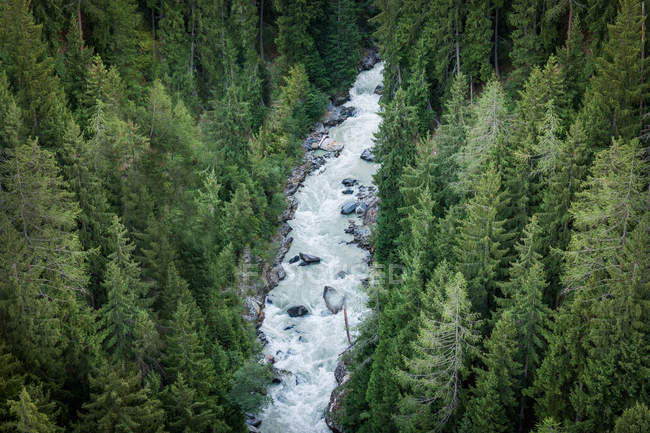 De cima espumoso rio de montanha correndo através da floresta sempre verde na Suíça — Fotografia de Stock