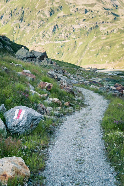 Calm landscape of narrow dirt stony path curving in mountains with green grass in Switzerland — Stock Photo