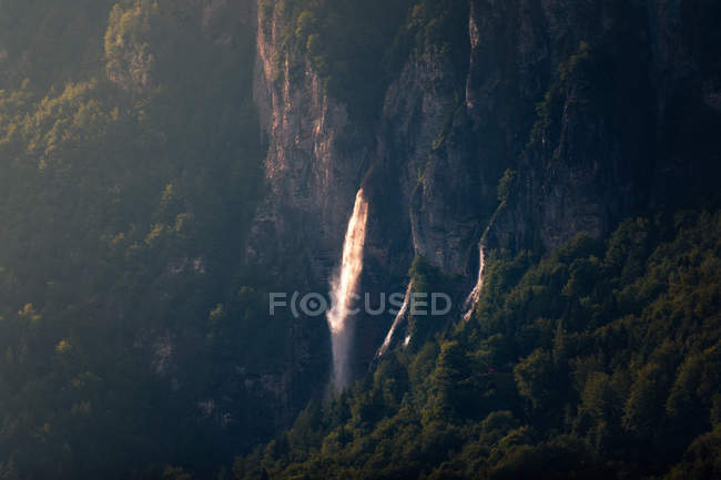 С вершины пенной горной реки, бегущей через вечнозеленый лес в Швейцарии — стоковое фото
