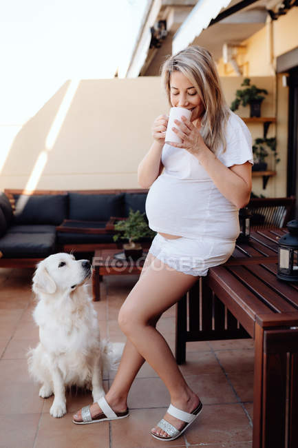 Беременная женщина в белой домашней футболке и шортах пьет кофе на террасе утром с собакой-лабрадором — стоковое фото