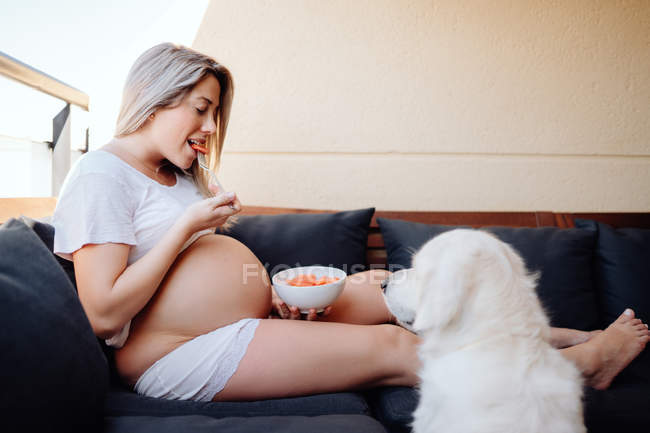 Alegre rubia embarazada en ropa blanca hogareña alimentando a perro labrador con trozo de plátano de tazón - foto de stock