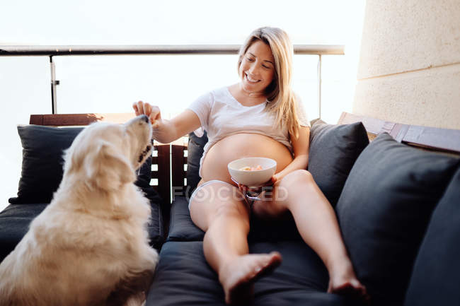Alegre rubia embarazada en ropa blanca hogareña alimentando a perro labrador con trozo de plátano de tazón - foto de stock