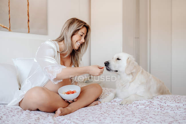 Content blonde pregnant woman sitting on bed with crossed legs holding bowl of food while Labrador dog putting paws near and looking at meal — Stock Photo