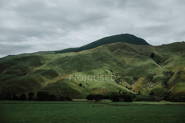 Scenic landscape of flat green field and mountain hills covered with green grass against grey cloudy sky at New Zealand countryside — Stock Photo
