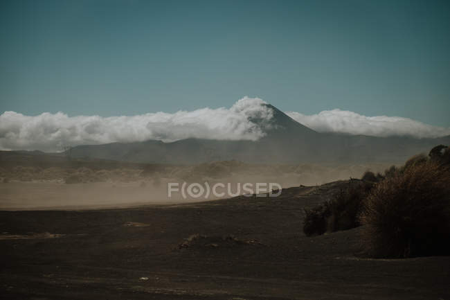 Дикая пыльная земля с сухими кустами на фоне горы под голубым небом с линией облаков в Новой Зеландии — стоковое фото