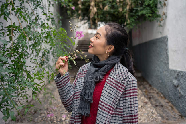 Young female in casual clothing touching green plants, smelling flowers and smiling at rocked lane — Stock Photo