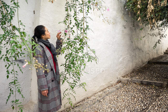 Jeune femelle en tenue décontractée touchant des plantes vertes et souriant dans un couloir rocailleux — Photo de stock