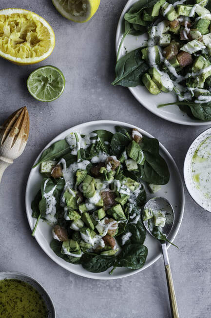 Von oben appetitanregender gesunder Lachssalat mit Grün und geschnittener Zitronenlimonade auf dem Serviertisch — Stockfoto