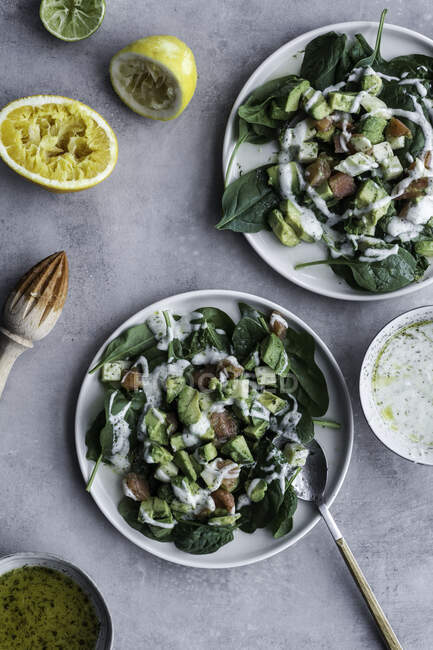 Сверху аппетитный салат из лосося с зеленью и лимонный лайм на столе — стоковое фото
