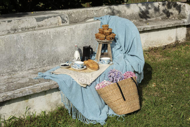 Cupcakes and cookies with teapot and milk on blue blanket served with straw basket with flowers on rocked bench at summer garden — Stock Photo