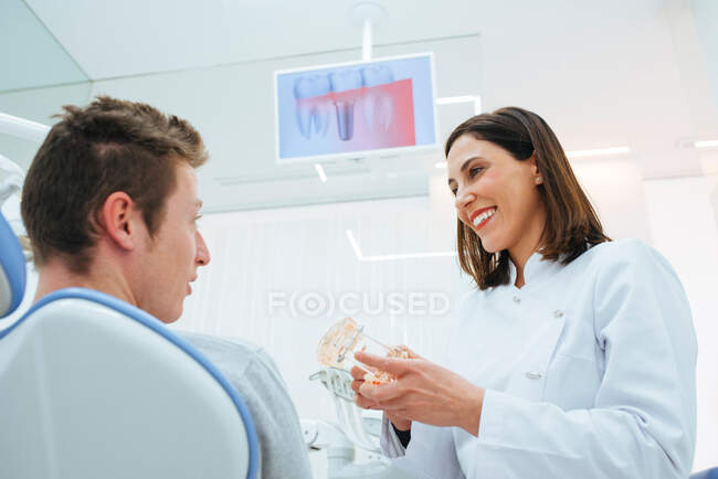 Улыбающийся стоматолог и ассистент, показывающий структуру зубов на профессионалах — стоковое фото