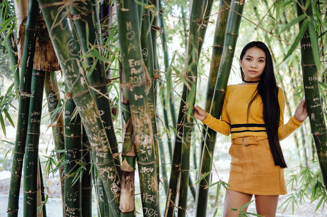 Азійка з довгим темним волоссям у жовтій сорочці і короткій спідниці стоїть у прекрасному саду і дивиться на камеру — стокове фото