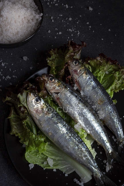 Prepared savory sardines served on leaves of salad on plate on black background — Stock Photo