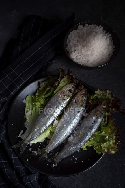 Préparé maison sardines salées sur l'aneth sur plaque sur fond noir — Photo de stock