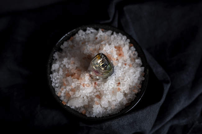 Testa di sardina in piatto con sale su fondo nero — Foto stock