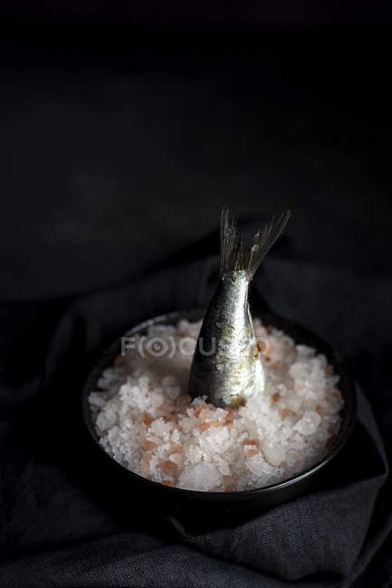 Cola salada de caballa pegada al plato con sal sobre fondo negro - foto de stock