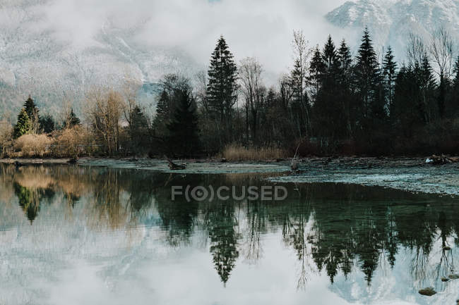 Breathtaking landscape of calm transparent lake surrounded by snowy mountains and dark forest in Hallstatt — Stock Photo