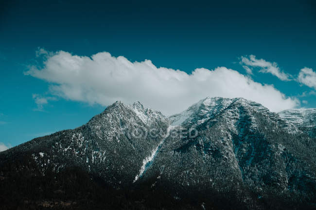 Дивовижний краєвид пагорбів, покритих лісом у снігу під хмарним яскраво-блакитним небом — стокове фото