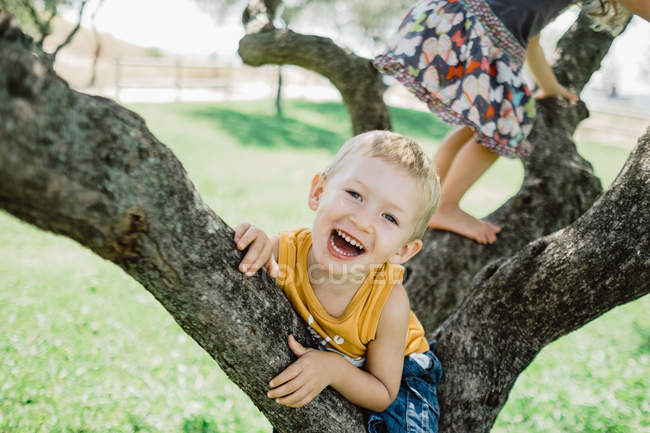 Crianças brincalhões escalando árvore no prado verde ensolarado — Fotografia de Stock