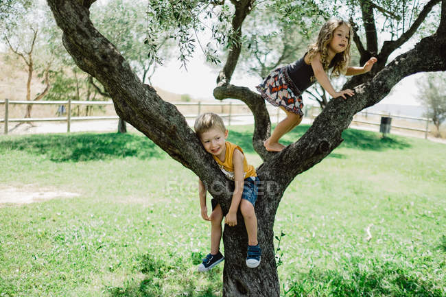 Fröhlicher Junge hängt am Ast, während aktives enthusiastisches Mädchen höher klettert und wegschaut auf großen Baum, der auf grünem Rasen im Sommergarten wächst — Stockfoto