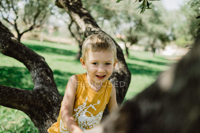 Блондин смешной мальчик забирается на ветку и смотрит в сторону большого дерева, растущего на зеленой лужайке в солнечный день — стоковое фото
