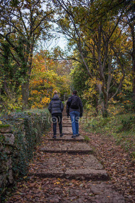 Young warm dressed people walking in road along fence with plant in green old garden with yellow leaves on tree — Stock Photo