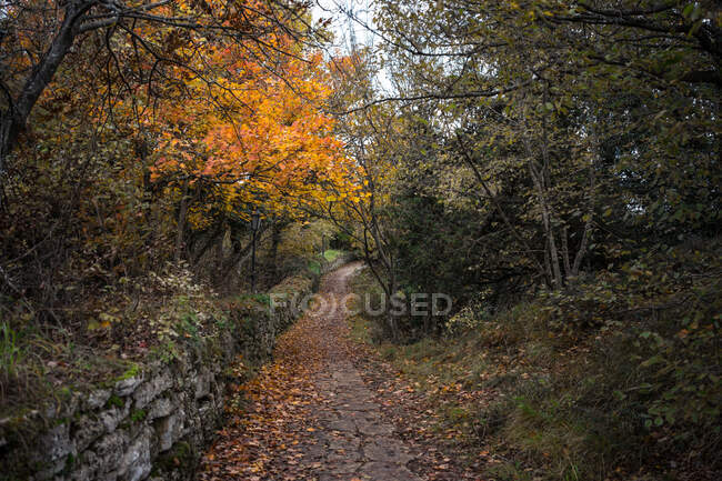 Strada stretta e vuota che porta al giardino lungo una recinzione di pietra con alberi verdi e gialli a San Marino — Foto stock