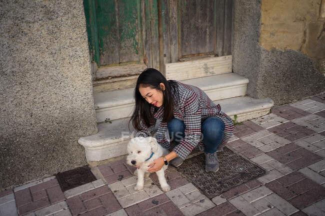 Мирна жінка на вулиці з собакою. — стокове фото