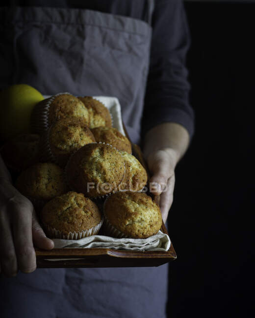 Crop person in dray apron with brown tray full of freshly baked muffins — Stock Photo