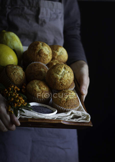Persona de la cosecha en delantal de dray con bandeja marrón llena de magdalenas recién horneadas - foto de stock