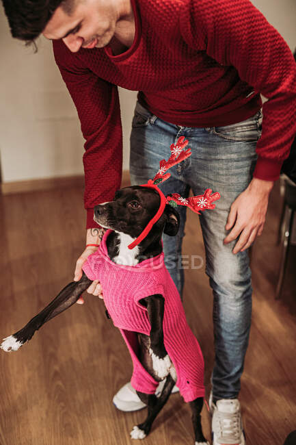 Man with dog in funny Christmas costume — Stock Photo