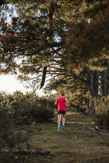 Uomo adulto sano attivo in camicia rossa e pantaloncini neri che fanno jogging sulla strada intermedia sulla foresta nella soleggiata giornata autunnale — Foto stock