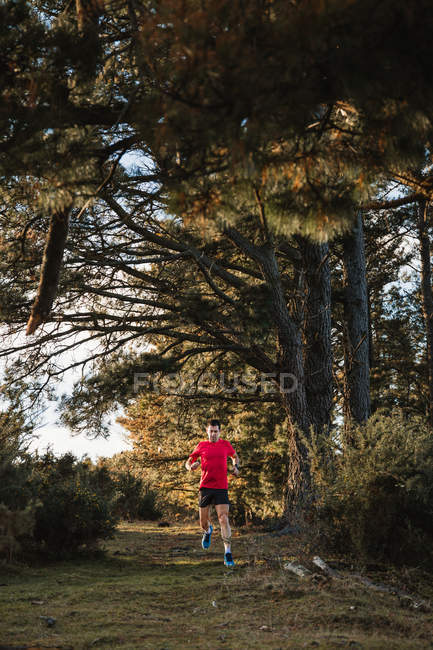 Active healthy adult male in red shirt and black shorts jogging on middy road on forest in sunny autumn day — Stock Photo