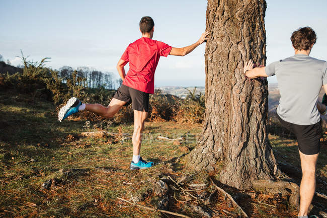 Back view of anonymous sportive male joggers doing stretching exercises leaning on trunk of pine tree and warming up — Stock Photo