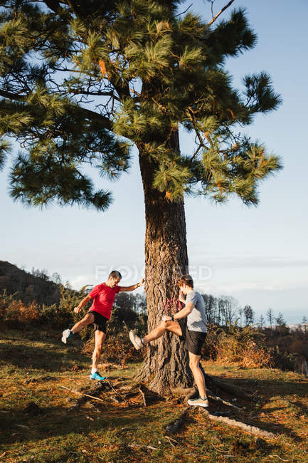 Side view of sportive male joggers doing stretching exercises leaning on trunk of pine tree and warming up before running in mountains — Stock Photo