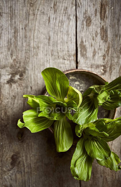 Top view of fresh ripe bok choy placed on weathered round box on wooden table — Stock Photo