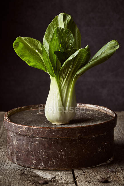Fresh ripe bok choy placed on weathered round box on wooden table — Stock Photo