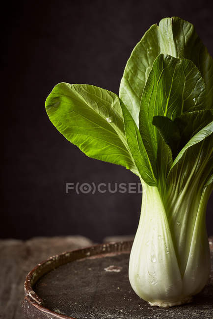 Fresh ripe bok choy placed on weathered round box on wooden table — Stock Photo
