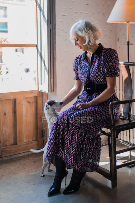 Calmo mulher sênior sentado em poltrona com cão na sala de luz — Fotografia de Stock