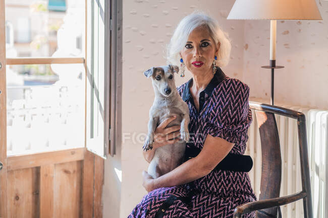 Спокійна старша жінка сидить у кріслі з собакою у світлій кімнаті — стокове фото