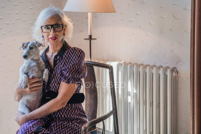 Calme femme âgée assise dans un fauteuil avec chien dans la salle de lumière — Photo de stock