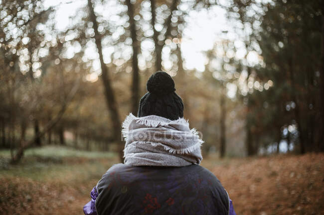 Back view of faceless person in black and violet jacket and warm hat in composition with gray scarf walking alone along footpath against blurred scenery of autumn park in daytime — Stock Photo