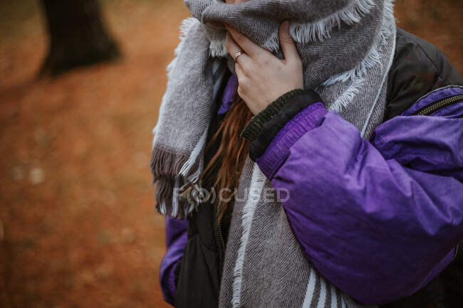 Кроп брюнетка в черно-фиолетовой теплой куртке скрывает лицо с серым шарфом от мороза, стоя в одиночестве против размытой земли, покрытой коричневыми сухими листьями в осеннем городском парке — стоковое фото