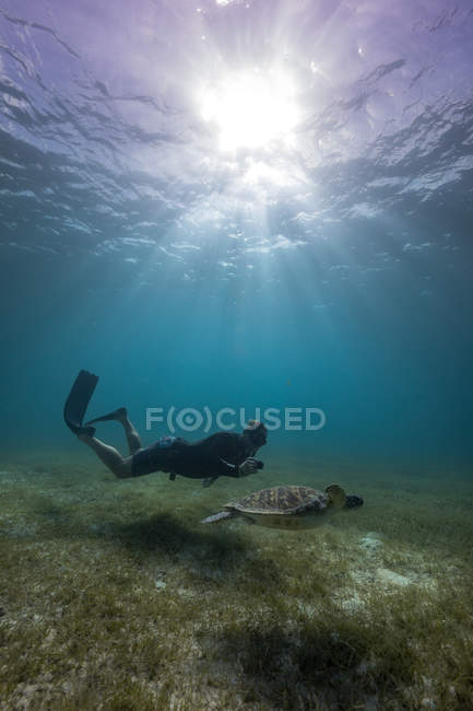 Mergulhador livre nadando subaquático com tartaruga no oceano — Fotografia de Stock