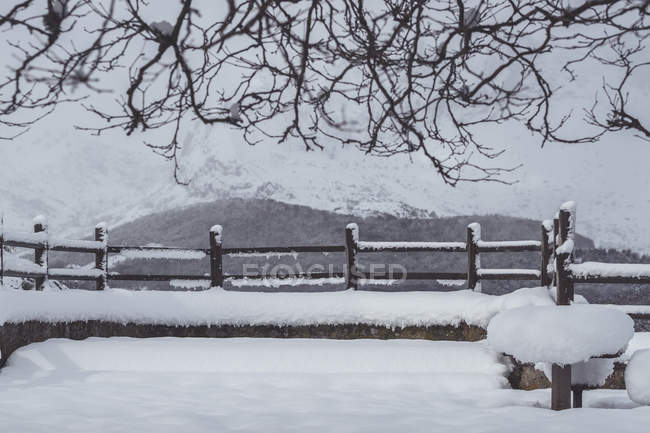 Foresta panoramica coperta di neve e ghiaccio in un paesaggio nebbioso nel nord della Spagna Montagne — Foto stock