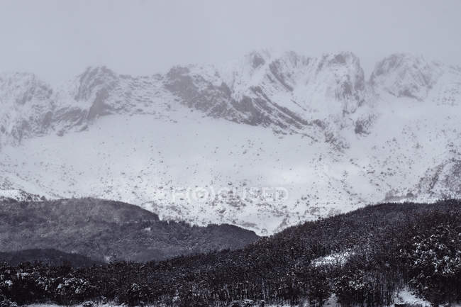 Schnee- und eisbedeckte Berge in einer nebligen Landschaft im Norden Spaniens — Stockfoto