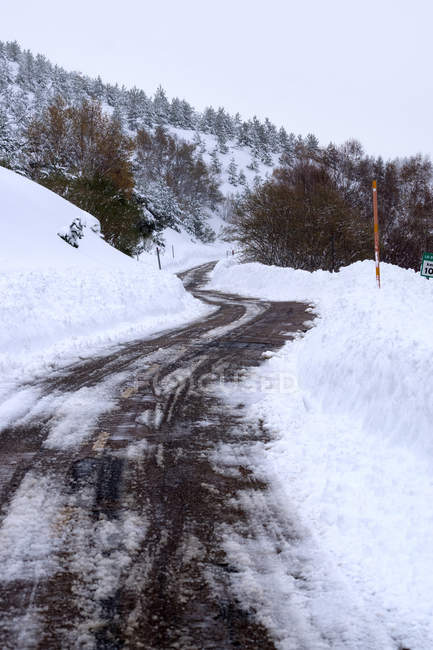 Pineta e strada ricoperte di neve e ghiaccio in un paesaggio nebbioso nel nord della Spagna Montagne — Foto stock