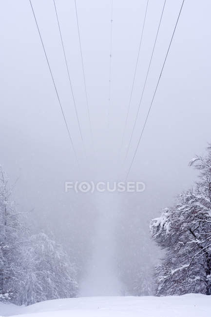 Stromleitungen über mit Schnee und Eis bedeckte Buchenwälder in einer nebligen Landschaft im Norden der spanischen Berge — Stockfoto
