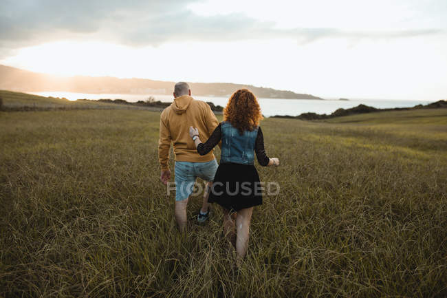 Обратный вид романтической молодой пары, держащейся за руки и идущей по зеленому полю на берегу моря на закате солнца с облачным небом — стоковое фото